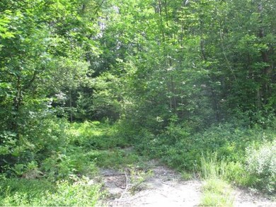 18 Porter Rd, Freedom, NH 03836 - photo 2