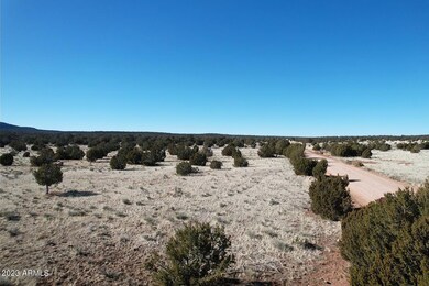 53770 N Via de Oro Pkwy unit 1486, Seligman, AZ 86337 - photo 7