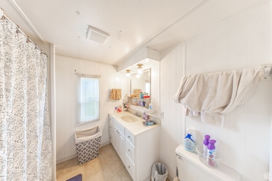 Full bathroom featuring vanity, a textured ceiling, and a shower with curtain