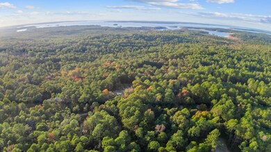 88 Deodar Dr, Brookeland, TX 75931 - photo 4