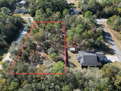 3015 E May St, Inverness Highlands North, FL 34453 - photo 5