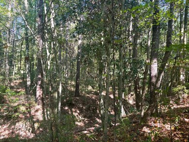 McDonald Rd, Florence, MS 39073 - photo 2