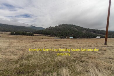 3000 BLK Addy-Gifford Rd, Gifford, WA 99131 - photo 6