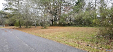0.40 Dale St, Glencoe, AL 35905 - photo 2