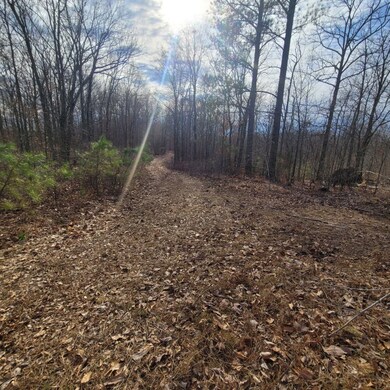 0 Mathis Cemetery Rd unit RTC2489831, Stewart, TN 37175 - photo 4