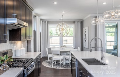 2736 Peak Ct unit 224, Belmont, NC 28012 - photo 4