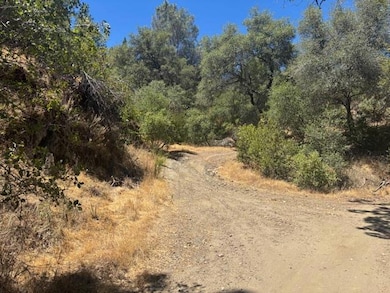 Driveway up to the building pad