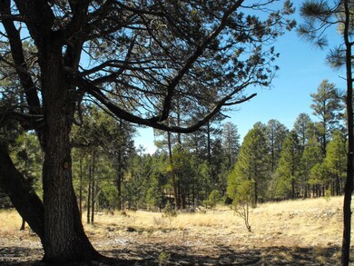 3 Lot 102 Juniper