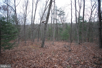 Lot 52 Pony Express Ln, Augusta, WV 26704 - photo 2