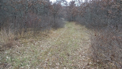 Lot 3 300th St, Sterling Township, WI 54024 - photo 4