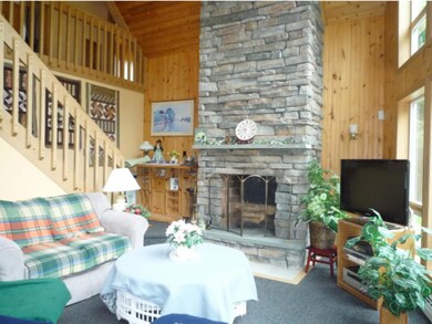 2 Old Mill Run, Center Tuftonboro, NH 03816 - photo 4