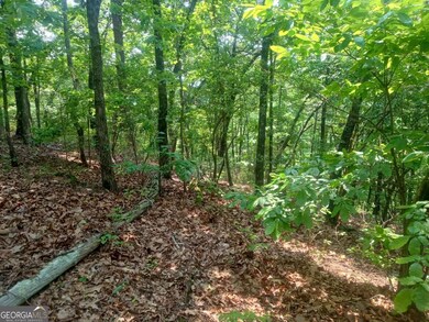 Lt 1227 Hilton Dr unit 1227, Ranger, GA 30734 - photo 7