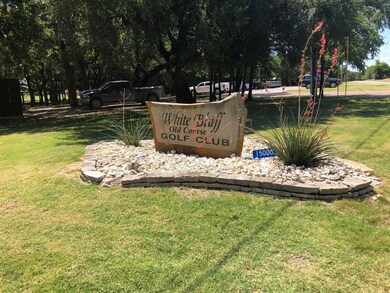 19037 White Bluff Dr, Whitney, TX 76692 - photo 5