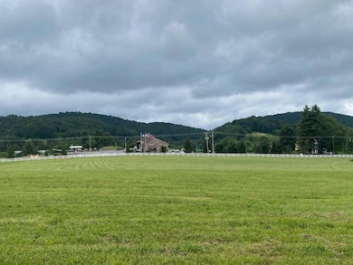 9727 Bent Mountain Rd, Bent Mountain, VA 24059 - photo 3