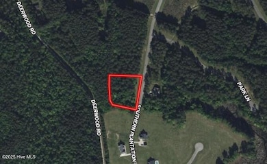 636 Southern Plantation Dr S, Oriental, NC 28571 - photo 5