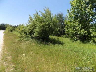 255 McCraws Hill Dr unit 3, Hendersonville, NC 28792 - photo 3