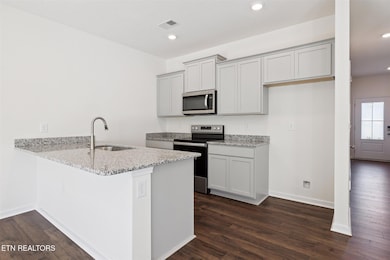 3534 Tyee Crossing Way, Sevierville, TN 37764 - photo 6