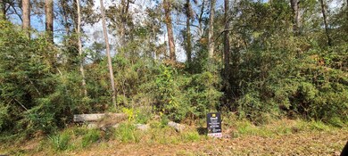 Lot 35  Also Listed on MLS#25498213.  Buy both lot