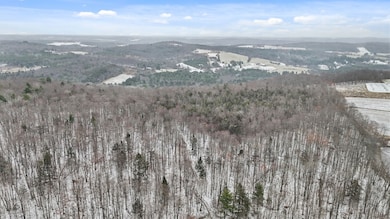 00 Lamb Rd, Newark Valley, NY 13811 - photo 6