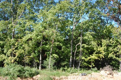 View Off Deck