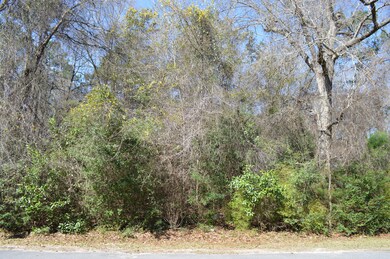 Lot Photo