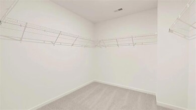 Spacious closet featuring light carpet
