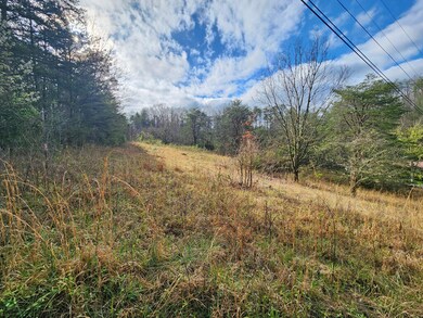 Lot 11 Lum Way, Sevierville, TN 37876 - photo 6