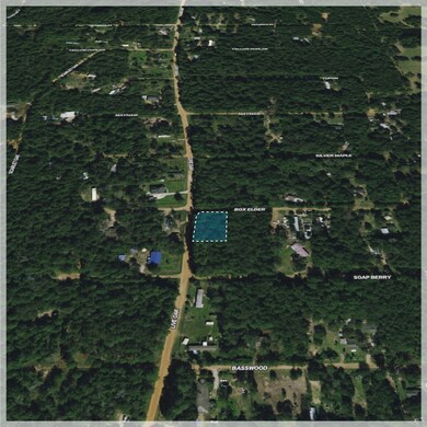 00 Live Oak Dr, Plantersville, TX 77363 - photo 5