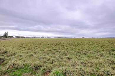 Jefferson Scio 113 87 Acres Rd, Scio, OR 97374 - photo 7