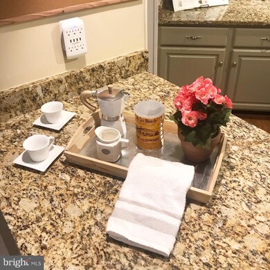 37591 Cecilia Ln, Purcellville, VA 20132 - photo 6