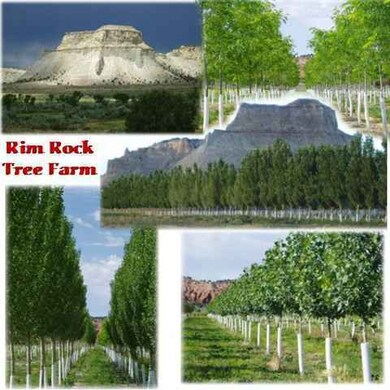 milepst 28 Utah 12 unit 1045 Ac with 1462 ac, Henrieville, UT 84736 - photo 6