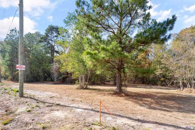 0 4-H Club Rd unit 2023018294, Denham Springs, LA 70726 - photo 6