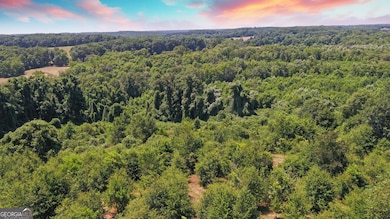 3439 TRACT 4 Providence Church Rd, Hartwell, GA 30643 - photo 7