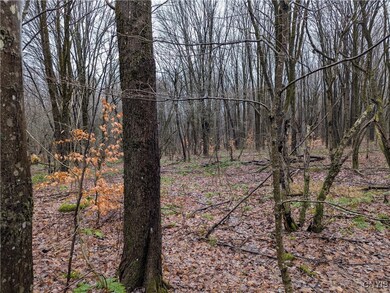 0 Ryan Rd, Williamstown, NY 13493 - photo 4