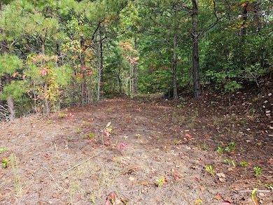 288 Deer Path Trail, Franklin, NC 28734 - photo 3