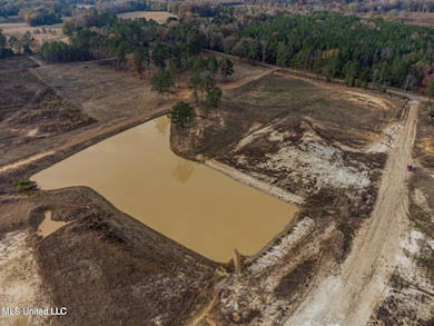 0 Sulphur Springs Rd unit 4132456, Canton, MS 39046 - photo 5