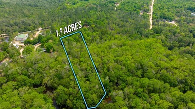 2-web-or-mls-Riverview Loop Parcel-2