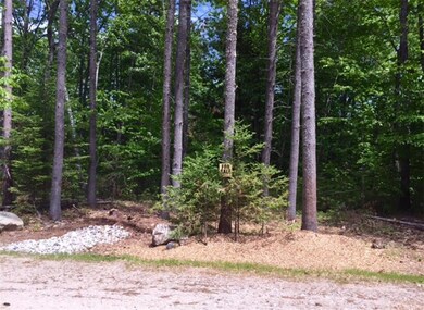 60A-05 Nature's Way, Bridgton, ME 04009 - photo 2