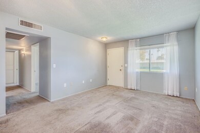13204 N 109th Ave, Sun City, AZ 85351 - photo 4
