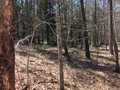 279 Overlook Cir, Lake Arrowhead, ME 04048 - photo 3