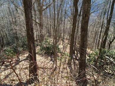View of flat knoll looking down from Western side 