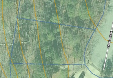 23 Cumbrian Dr, Bella Vista, AR 72714 - photo 4