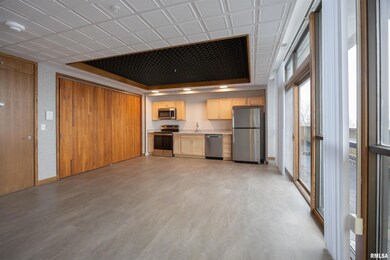 509 9th St unit 304, Dewitt, IA 52742 - photo 5