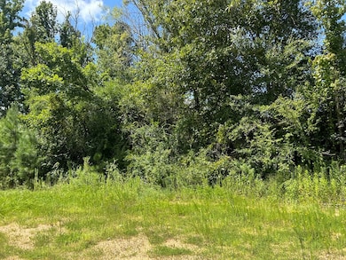 TBD Hwy 570 River Road N Shell Oil Rd, Summit, MS 39666 - photo 2