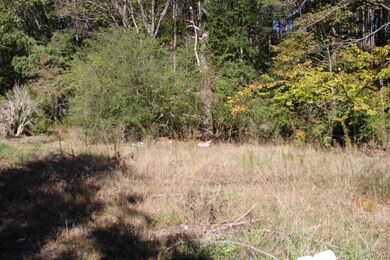 1411 Martin Luther King jr Blvd, Siler City, NC 27344 - photo 7