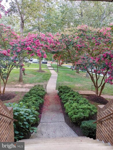 11248 Chestnut Grove Square unit 250, Reston, VA 20190 - photo 7