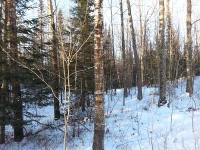 26.6 acres Old Highway 51 unit `and Nelson Avenue, Merrill, WI 54452 - photo 4