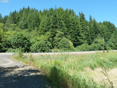 8340 Highway 126, Florence, OR 97439 - photo 3