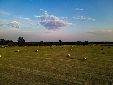 15703 S 2850 Rd, El Dorado Springs, MO 64744 - photo 7