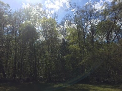 xxx Treche Dr, Crawfordville, FL 32327 - photo 3